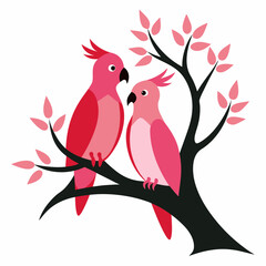 couple Galah in tree wood white background