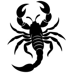 scorpion contour minimalism vector silhouette 