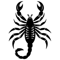 scorpion contour minimalism vector silhouette 