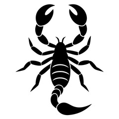 scorpion contour minimalism vector silhouette 