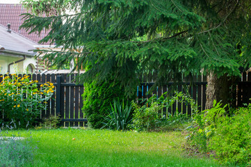 Zielony ogród, Green Garden © Studio RMW