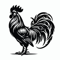 Rooster silhouette illustration on white background