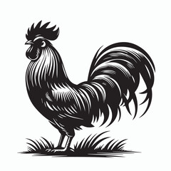 Rooster silhouette illustration on white background