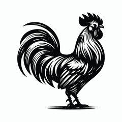 Rooster silhouette illustration on white background