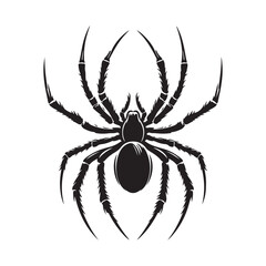 Black spider silhouette vector on white background