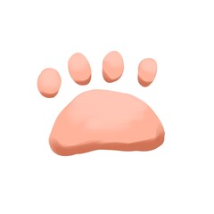 Cat paw pads, color illustration