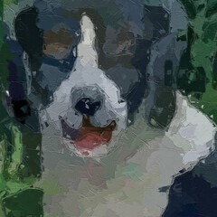 Naklejka premium Oil paintings and various flowers such as cats, dogs, roses, peonies, flowers, and birds are beautiful