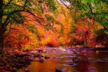 Fototapeta premium Fall foliage in the Great Smoky Mountains in Tennessee