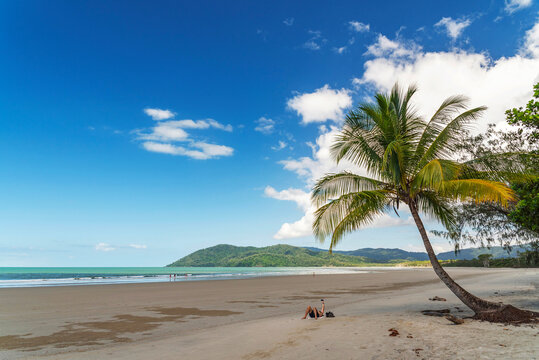 Picturesque tropical golden sandy Thornton Beach in Daintree rainforest under blue sky with white clouds, Queensland, Australia. Thornton Beach is bounded to the south by Cape Tribulation Road.