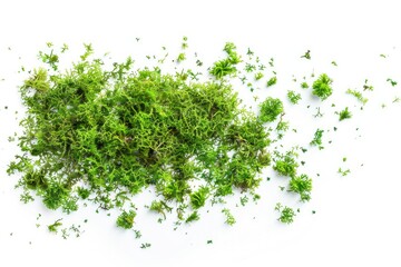 Obraz premium A close-up shot of a pile of green moss on a white surface, suitable for backgrounds or textures