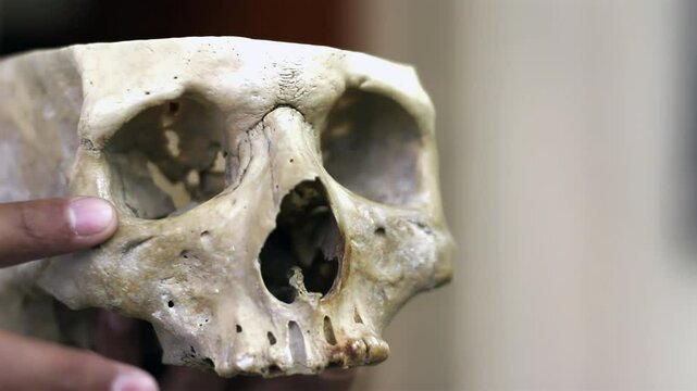 Medical Professor Showing Skull in Classroom - Anatomy Education Scene 4K