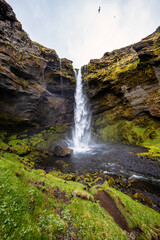 Kvernufoss waterfall in Iceland showcasing its natural beauty with a clear cascading stream and vibrant green surroundings, perfect for adventure seekers and nature photographers