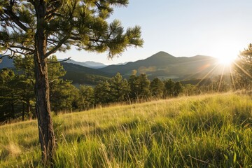 Warm sunshine brightens the day and invites outdoor adventures