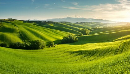 Obraz premium Panoramic view of beautiful endless green fields in bright sunlight, Italy 