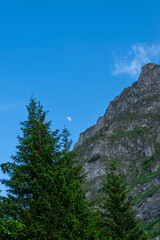 Mountain landscape with a half moon in the blue sky and green trees