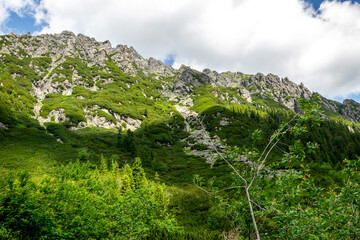 Mountain landscape with green grass and blue sky with white clouds.