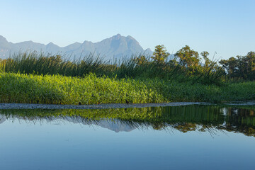 Vale do Gigante, em Antonina, no Brasil / Giant Valley, in Antonina, in Brazil