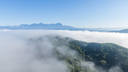 Vale do Gigante, em Antonina, no Brasil / Giant Valley, in Antonina, in Brazil