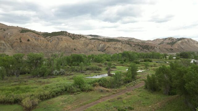 Scenic Drone Shot of Eagle Colorado Mountains with Bird Flying Through Frame