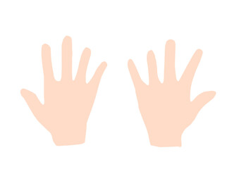 両手の掌　手描き
