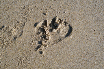 Random footprint at the beach sand