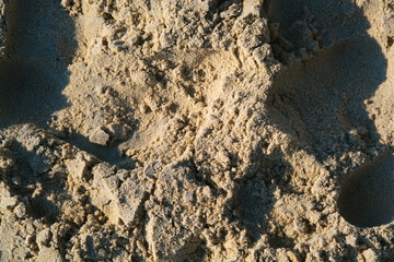 Random footprint at the beach sand