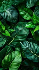 Close-up of various green leaves with intricate textures and veins, showcasing a rich palette of dark and light greens, highlighting nature's diversity.