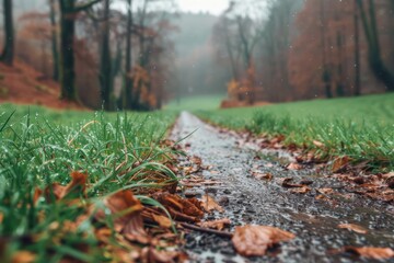 Obraz premium Moody Countryside Path A Gloomy Exploration of Nature's Tranquility in Autumn, Serene Landscape Photography