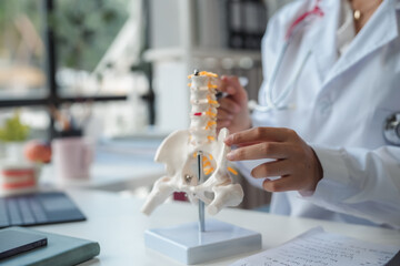Doctor analyzing a spine model in a medical office, focusing on bone health and human skeleton details