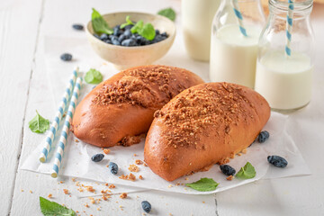 Yummy and fresh blueberry yeast cake served with milk.