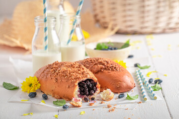 Homemade and tasty blueberry yeast cake made of berry fruits.