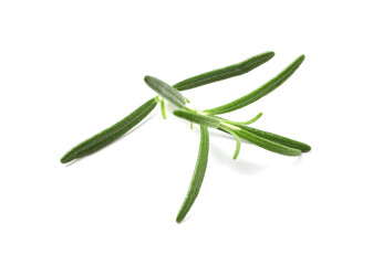 Sprig of fresh rosemary isolated on white