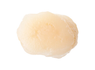 One fresh raw scallop isolated on white