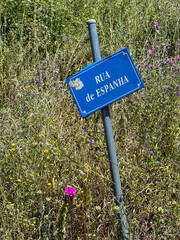 sign for road with hint to spain,  on the camino de santiago in portugal, the portuguese way, pilgrimage