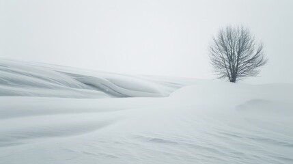 Intense snow blizzard, swirling winds and heavy snowfall, creating a dramatic winter landscape, barely visible through the thick whiteout