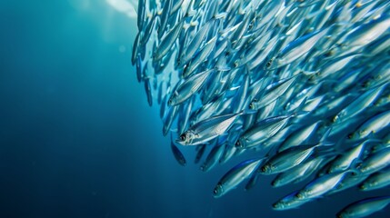 Intricate patterns of fish schooling behavior, dynamic movements and collective responses in a vibrant underwater scene