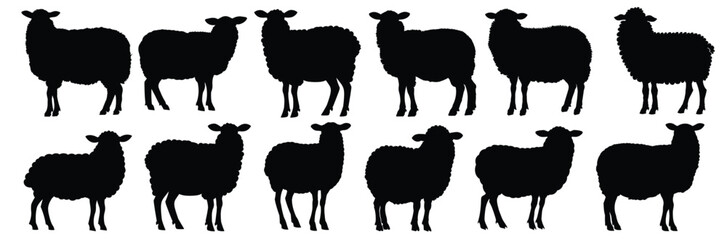 Sheep silhouettes set, pack of vector silhouette design, isolated background