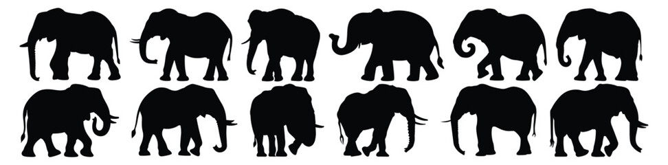 Fototapeta premium Elephant silhouettes set, pack of vector silhouette design, isolated background