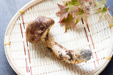 秋の味覚、松茸