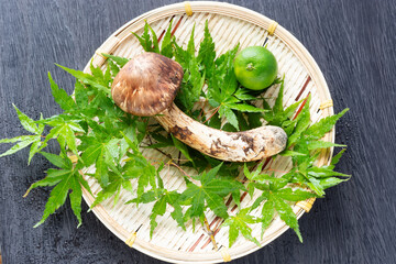 秋の味覚、松茸