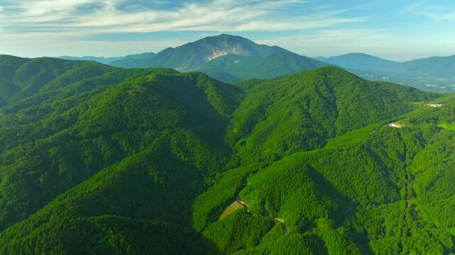 初夏の青々とした山岳地帯から撮影した箱根山