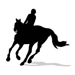 equestrian sport. A jockey on a horse strolling. A gentleman's game