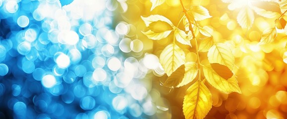 Abstract summer background with blue and yellow overlay, featuring summer sun shadow leaf and white gradient, evoking warmth and vibrancy