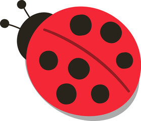 ladybug