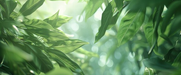 Bambus, perfect for showcasing natural and tropical designs