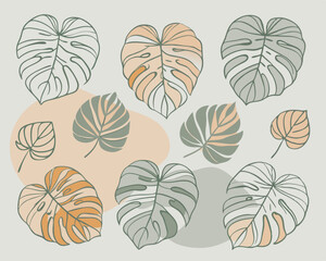 Obraz premium cute monstera v7