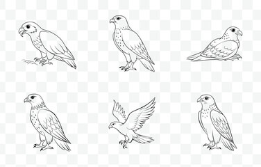 Print Elegant Hawk Line Art Vector Collection for Illustrations and Designs Featuring Detailed Bird Graphics