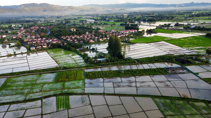 Aerial view of rice field and village in the countryside