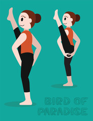 Yoga Bird of Paradise Svarga Dvijasana Cartoon Vector Illustration