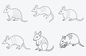 Prickly Perfection, Armadillo Cline Line Art Collection